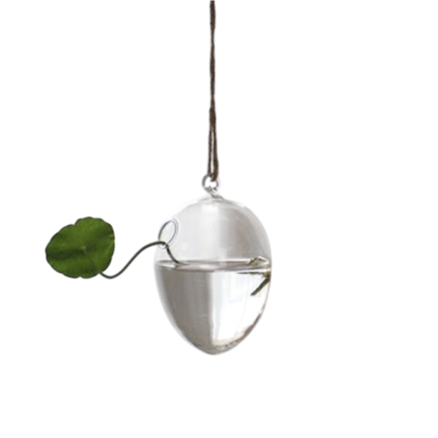 Vaso Decorativo De Vidro em Formato de Ovo Casa e Jardim – Elegância e Simplicidade na Sua Decoração.