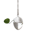 Vaso Decorativo De Vidro em Formato de Ovo Casa e Jardim – Elegância e Simplicidade na Sua Decoração.